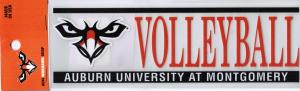 Image of AUM WARHAWK VOLLEYBALL DECAL